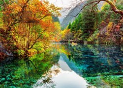 Chiny, Park Narodowy Jiuzhaigou, Jezioro Pięciu Kwiatów, Jezioro Wu Hua Hai, Drzewa, Jesień, Odbicie