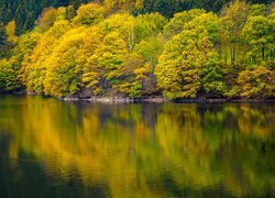 Jezioro, Jesień, Drzewa, Odbicie