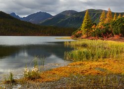 Jesień, Drzewa, Góry Kołymskie, Jezioro, Kołyma, Obwód magadański, Rosja