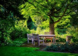 Ogród, Drzewa, Stół, Krzesła