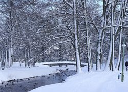 Zima, Park, Drzewa, Rzeka, Mostek, Kaczki