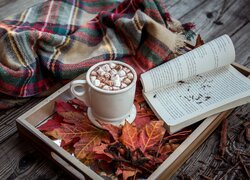 Kompozycja, Taca, Kubek, Kakao, Pianki, Książka, Liście, Kraciasty, Koc