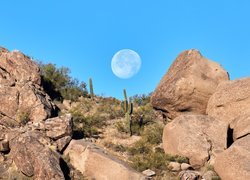 Kaktusy na skałach i księżyc na niebie