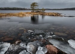 Jezioro Ładoga, Wysepka, Drzewa, Chmury, Karelia, Rosja