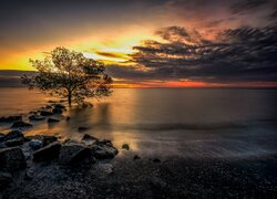 Kamienie, Morze, Drzewo, Zachód słońca