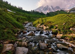 Kamienista rzeka na tle góry Mount Rainier w stanie Waszyngton