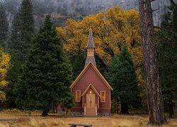 Zima, Drzewa, Kościółek, Kaplica, Las, Park Narodowy Yosemite, Stan Kalifornia, Stany Zjednoczone