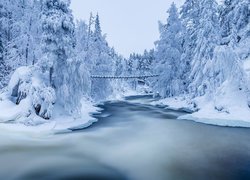 Finlandia, Laponia, Park Narodowy Oulanka, Rzeka Kitkajoki, Katarakty Myllykoski, Zima, Śnieg, Las, Ośnieżone, Drzewa, Most