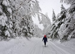 Kobieta na drodze w zimowym lesie