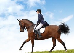 Kobieta, Koń, Jeździectwo, Pole, Niebo, Chmury