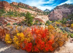 Stany Zjednoczone, Stan Utah, Park Narodowy Zion, Skały, Roślinność, Jesień