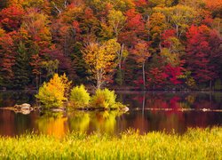 Stany Zjednoczone, Vermont, Nowa Anglia, Lasy państwowe, Jezioro Kent Pond, Drzewa, Las, Jesień