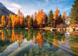 Góry, Jezioro, Kolorowe, Drzewa, Jesień, Odbicie