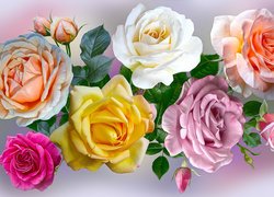 Kolorowe graficzne róże