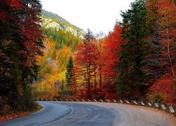 Jesień, Droga, Zakręt, Góry, Las, Drzewa