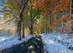 Kolorowe jesienne drzewa przy zaśnieżonej drodze