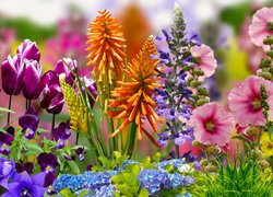 Kolorowe kwiaty i trawa w grafice