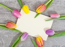 Kolorowe tulipany dookoła kartki