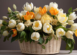 Kolorowe tulipany w koszyku