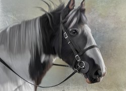 Koń z profilu w grafice