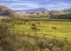 Farma, Pastwisko, Red Hills Ranch, Konie, Góry, Hrabstwo Teton, Stan Wyoming, Stany Zjednoczone