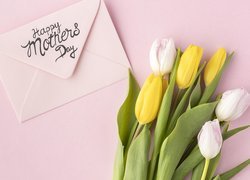 Dzień Matki, Koperta, Kwiaty, Tulipany, Różowe, Tło