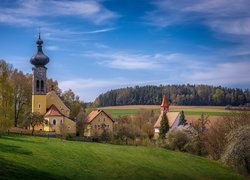 Kościół, Św Ulricha, Domy, Lasy, Drzewa, Pola, Wilchenreuth, Bawaria, Niemcy