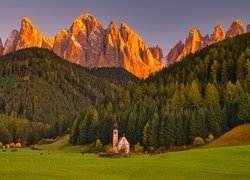 Włochy, Południowy Tyrol, Góry, Dolomity, Kościół św Jana, Wieś, Santa Maddalena, Dolina Val di Funes, Las, Drzewa, Łąka