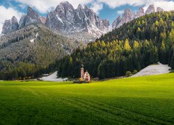 Włochy, Góry, Dolomity, Dolina Val di Funes, Kościół św Jana, Lasy