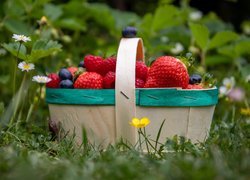 Koszyk z owocami na trawie