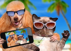 Kot i pies w okularach pozują do selfie