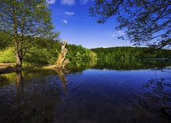 Krajobraz Parku Narodowego Jezior Plitwickich w Chorwacji