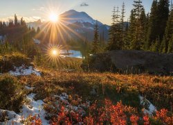 Stany, Zjednoczone, Park Narodowy Mount Rainier, Góra, Stratowulkan Mount Rainier, Jesień, Roślinność, Promienie słońca, Śnieg