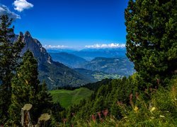 Góry, Dolina, Drzewa, Kwiaty, Południowy Tyrol, Włochy