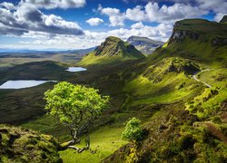 Góry, Jeziora, Zielone, Drzewo, Chmury, Wyspa Skye, Osuwisko, Quiraing, Szkocja