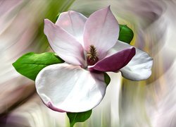 Kwiat magnolii w grafice