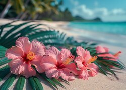 Kwiat, Hibiskus, Plaża