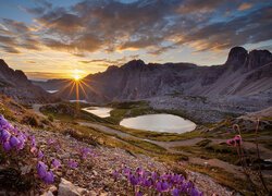 Kwiaty na zboczach i jeziora w promieniach słońca nad górami