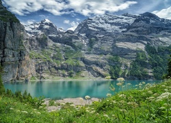 Łąka nad jeziorem Oeschinen w południowej Szwajcarii w Alpach Berneńskich