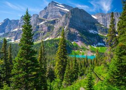 Stany Zjednoczone, Montana, Park Narodowy Glacier, Góry, Jezioro, Grinnell Lake, Lasy, Drzewa