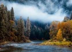Jesień, Drzewa, Rzeka, Payette River, Mgła, Stan Idaho, Stany Zjednoczone Jesień