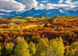 Góry, San Juan Mountains, Jesień, Las, Drzewa, Chmury, Kolorado, Stany Zjednoczone