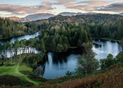 Park Narodowy Lake District, Wzgórza, Lasy, Jezioro Tarn Hows, Anglia