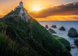 Latarnia morska Nugget Point Lighthouse w Nowej Zelandii w promieniach słońca