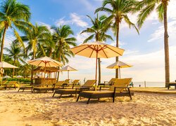 Leżaki i parasole na plaży pod palmami