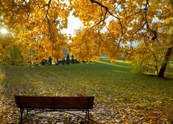 Ławka pod drzewami w jesiennym parku