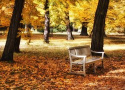 Ławka pod drzewem w jesiennym parku
