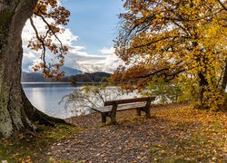 Ławka pod jesiennymi drzewami nad jeziorem Staffelsee