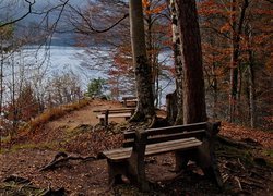 Ławki pod jesiennymi drzewami nad jeziorem