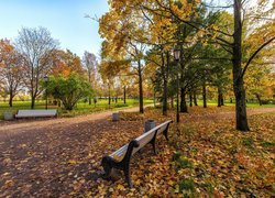 Jesień, Park, Drzewa, Alejka, Ławki